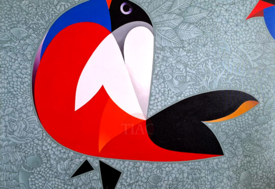 Bird