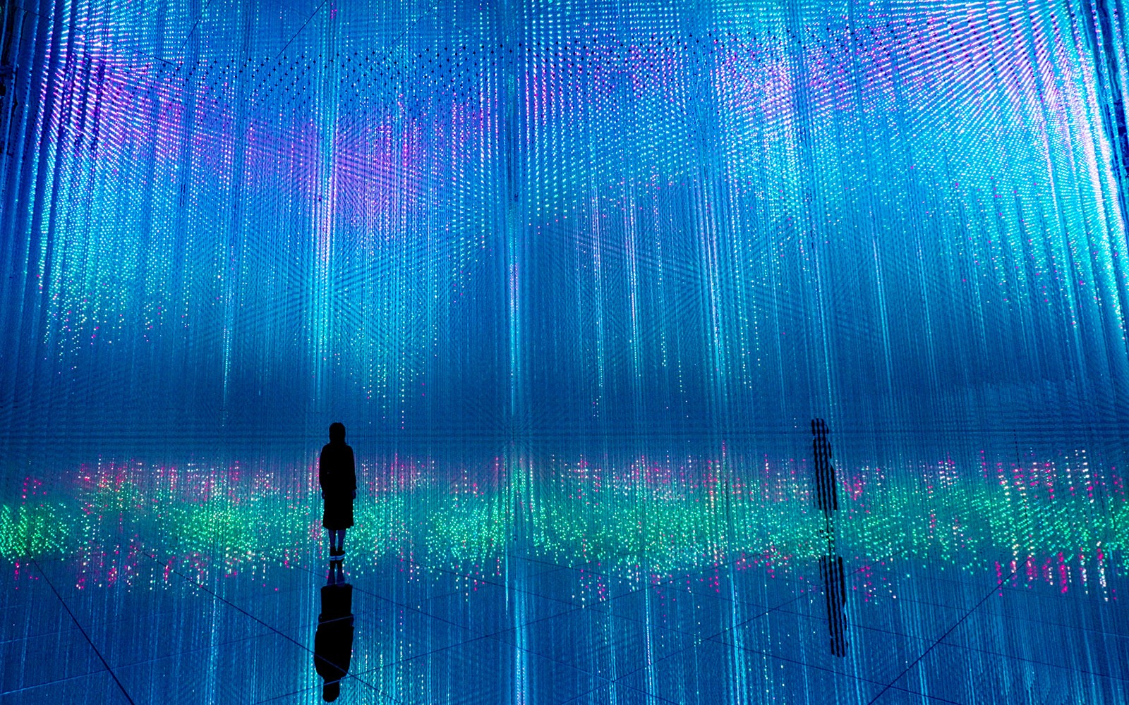 The Future of Art Galleries: Virtual Exhibitions and the Rise of Immersive Experiences