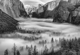 The Silence in Monochrome Art